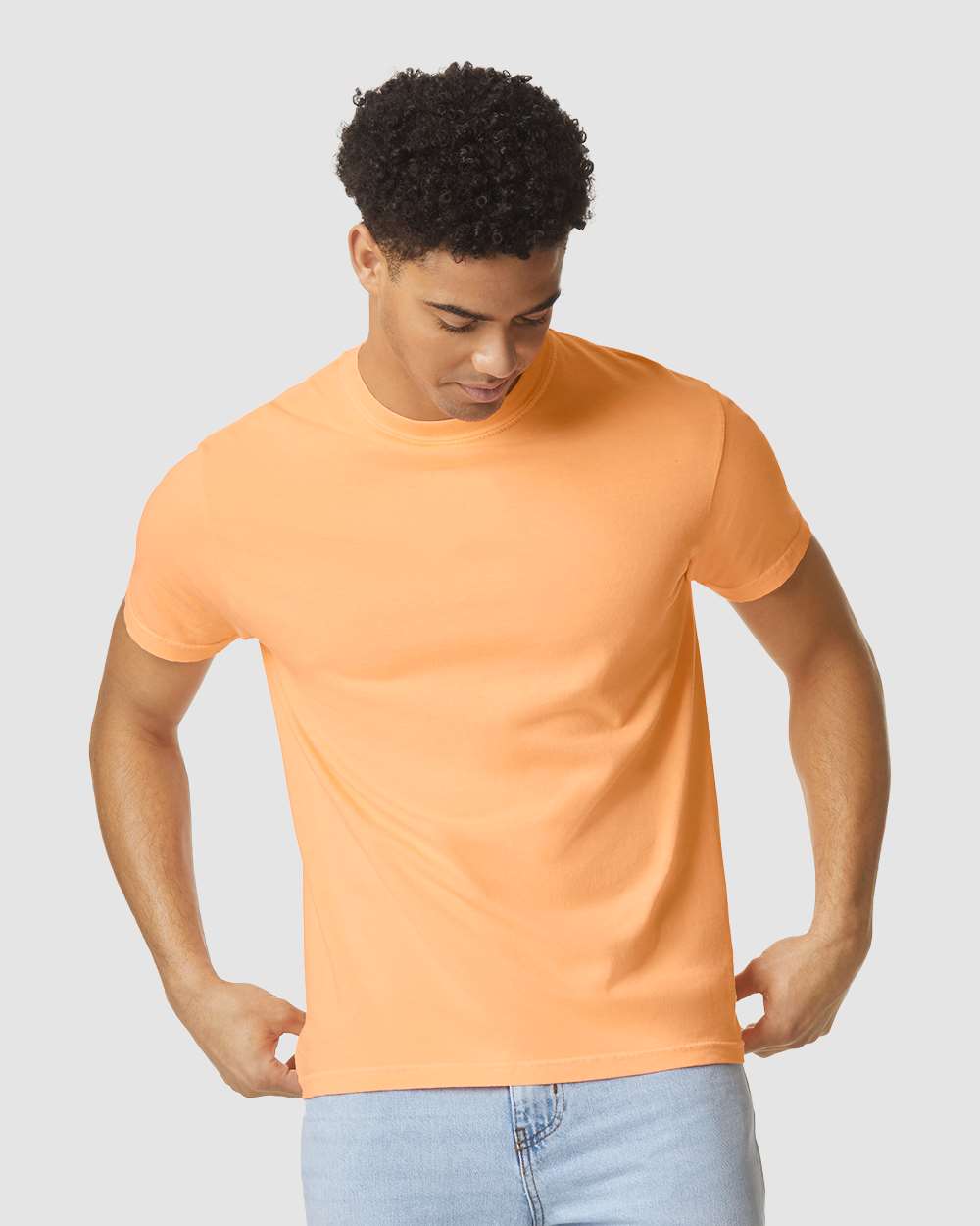Comfort Colors 1717